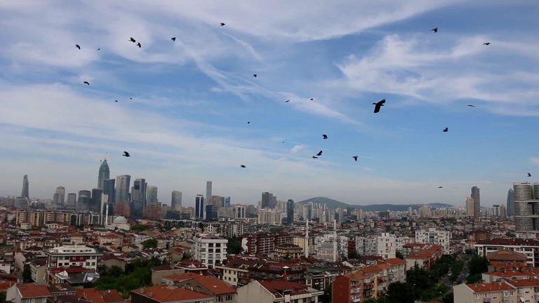 TÜİK: 2023’te İstanbul’dan ayrılanların oranı yüzde 39 arttı