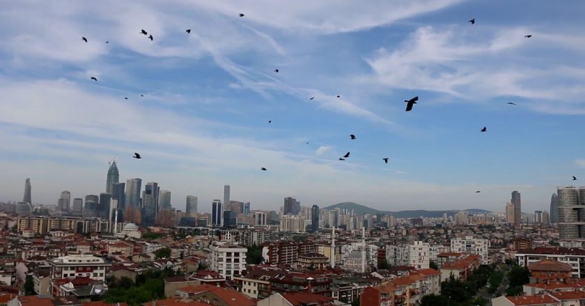 TÜİK: 2023’te İstanbul’dan ayrılanların oranı yüzde 39 arttı