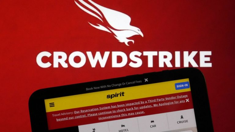 CrowdStrike, küresel BT kesintisi nedeniyle hissedarlar tarafından dava edildi