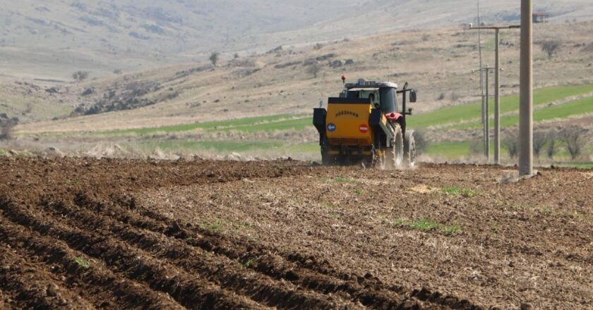 Tarımsal ÜFE Kasım'da Arttı – Son Haberler