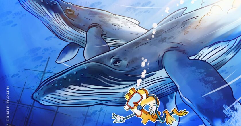 14 yaşındaki uykusu tarafından uyandı bitcoin balinası BTC’yi 4.7 milyar dolarlık aktardı