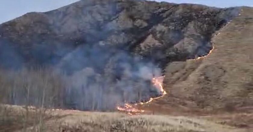 Erzurum’da dehşet veren örtü yangını!