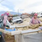 İlçenin Ekonomisinde Kilit Rol Oynayan Ürün: 10 Aylık Zorlu Üretim Süreci