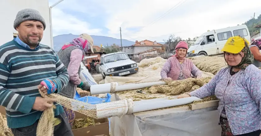 İlçenin Ekonomisinde Kilit Rol Oynayan Ürün: 10 Aylık Zorlu Üretim Süreci